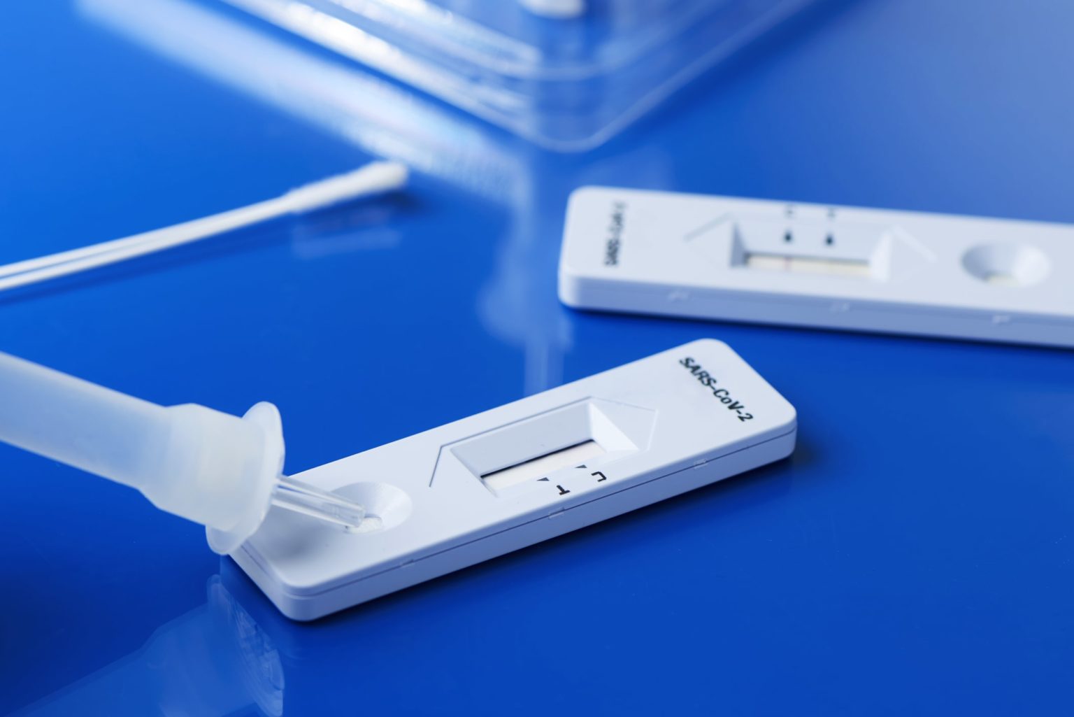 What’s the Difference Between Rapid and PCR Test? MoneyLIon