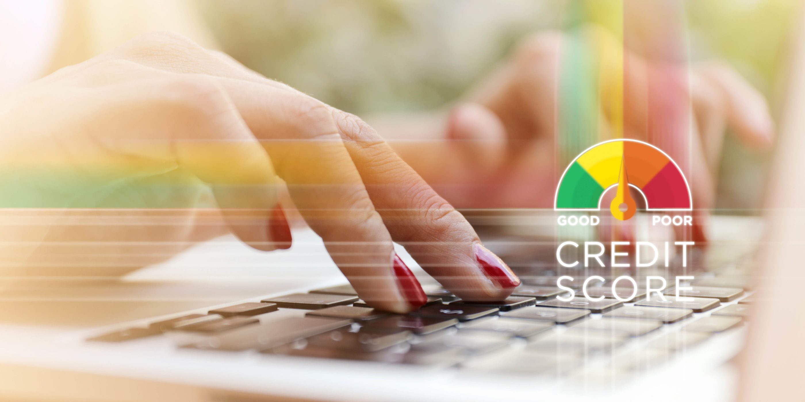 How To Get An 800 Credit Score MoneyLion