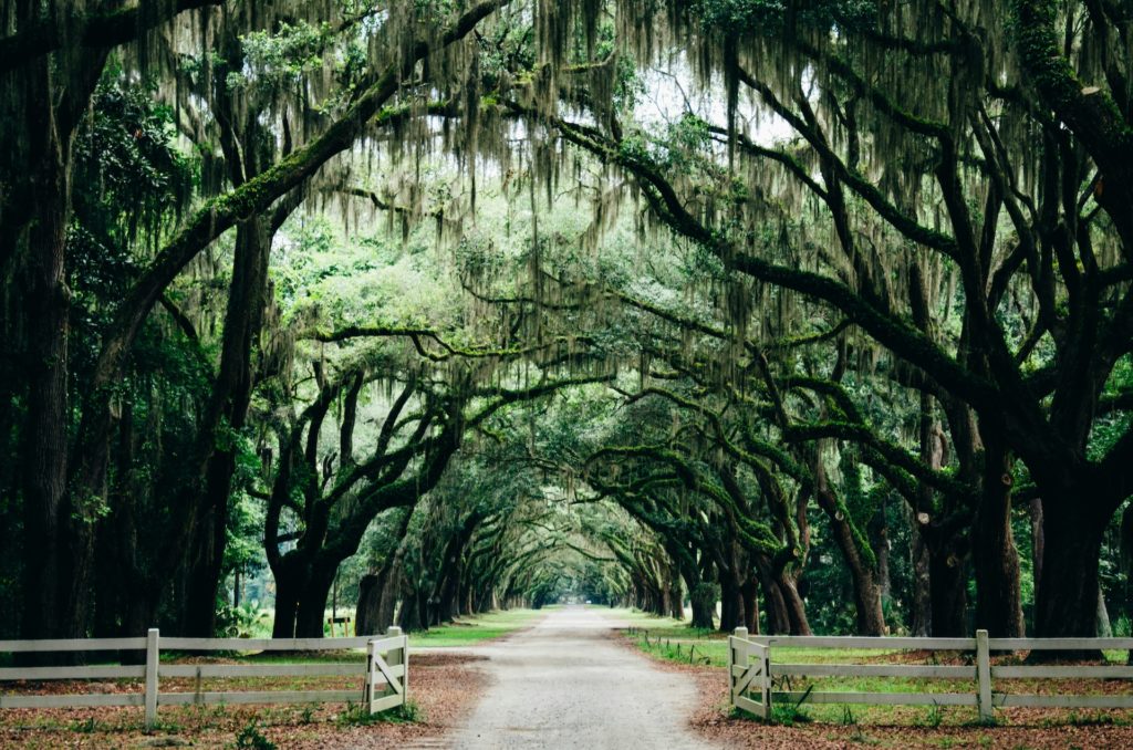 Top 20 Cheapest Places to Travel in the U.S. 7 Savannah, Georgia