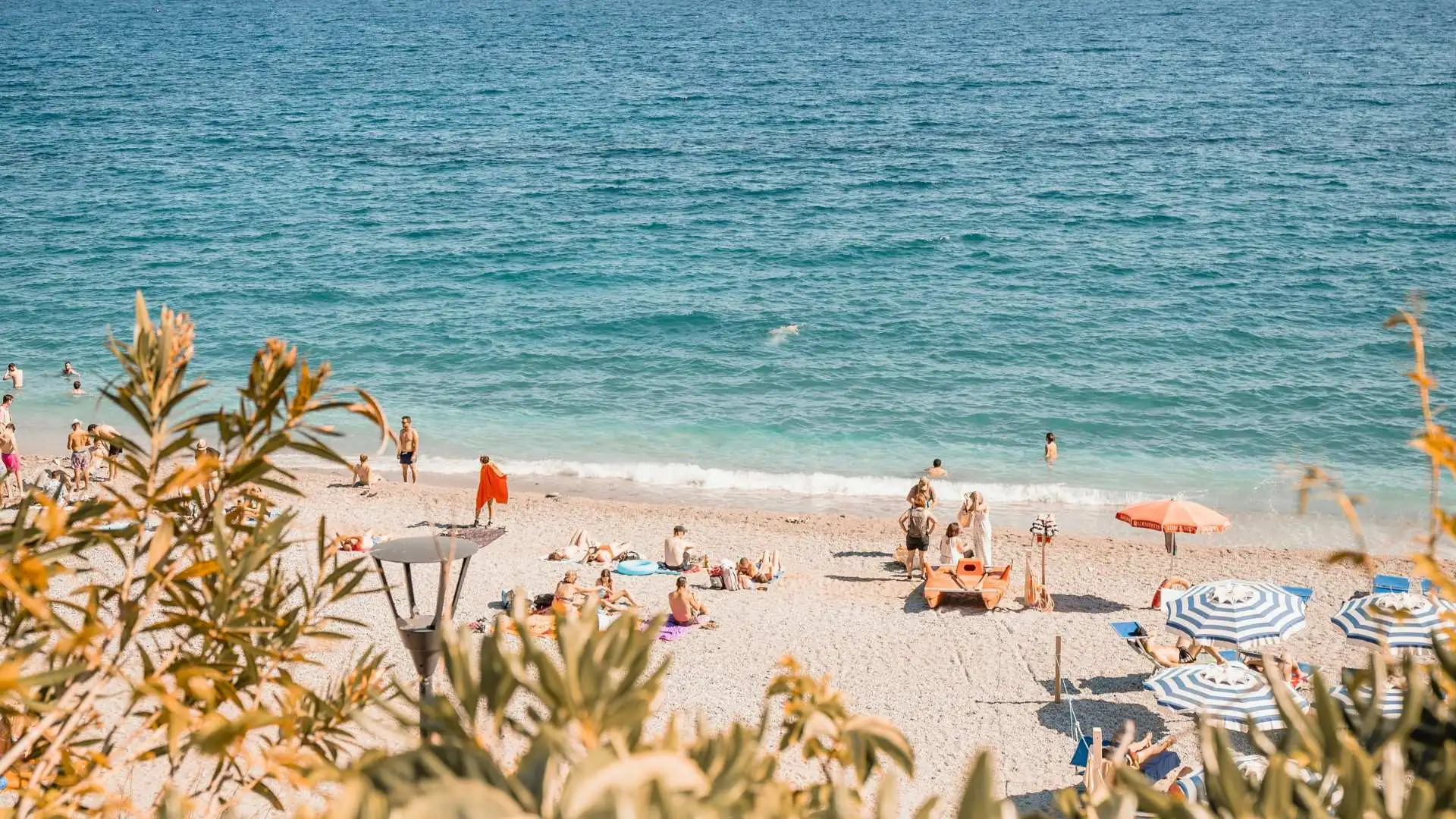 Summer-Travel