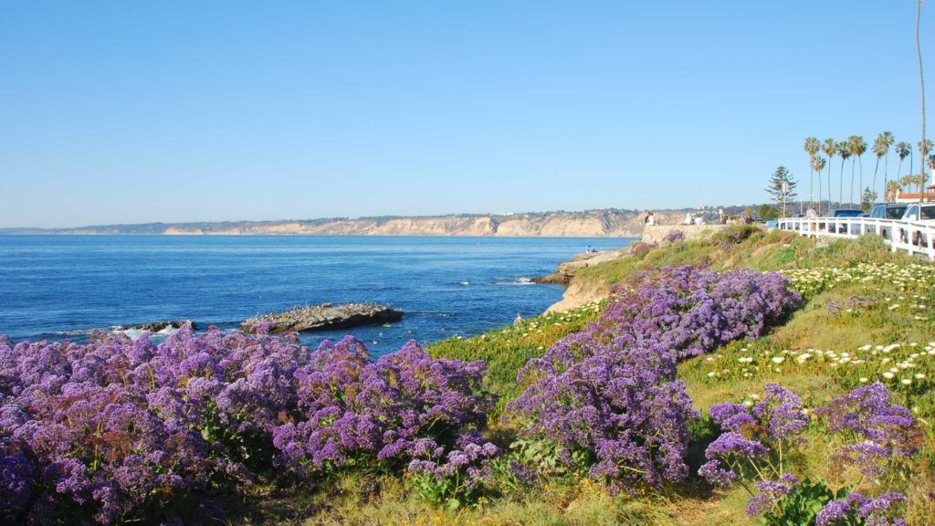 25 Fun Vacation Spots for Young Adults in the U.S. 3 Fun-Vacation-Spots-for-Young-Adults-in-the-US-San-Diego-California